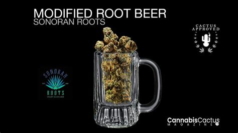 Title: 2206OPT1533. . Modified rootbeer strain sonoran roots
